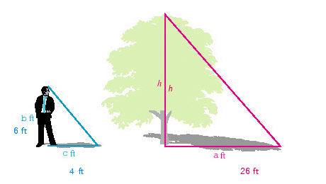 A tree casts a shadow of 26 feet at the same time as a 6-foot man casts a shadow of 4 feet. Find the height of the tree.   A) 41 feet B) 35 feet C) 39 feet D) 31 feet E) 52 feet