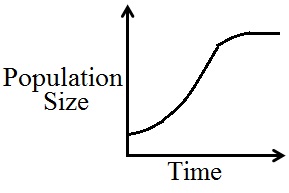 ​A population of bacteria grown in a Petri dish begins to grow slowly but increasingly faster over the fi rst two days. The population then grows faster and faster for three days until the growth begins to slow down for the following two days until the population levels off. Sketch a graph that shows the growth of the bacteria population over time. A)  ​   ​ B)  ​   C)  ​   D)  ​   E)  ​  