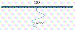 Suppose a goat was tethered at the middle of a 100-foot-long fence and the length of the rope was 29 feet, as shown in the diagram below. Over how much area could the goat graze? Use 3.14 for   and round your answer to 2 decimal places. ​ ​   ​ A)  1261.50 ft<sup>2</sup> B)  1320.37 ft<sup>2</sup> C)  5281.48 ft<sup>2</sup> D)  91.06 ft<sup>2</sup> E)  2640.74 ft<sup>2</sup>