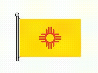 Select the figure that shows the correct line(s)  of symmetry for the illustration of the flag, without its flagpole.   A)    B)    C)    D)    E)   
