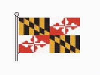 Select the figure that shows the correct line(s)  of symmetry for the illustration of the flag, without its flagpole. .   A)    B)    C)    D)    E)   