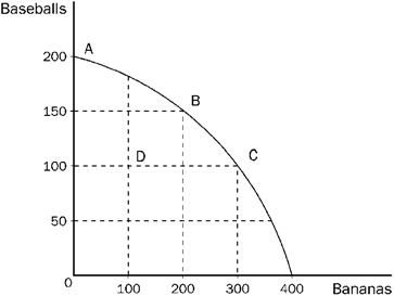 Figure 2-10   Refer to Figure 2-10. What is the opportunity cost of the movement from point A to point C? A)  50 baseballs B)  100 baseballs C)  100 bananas D)  300 bananas