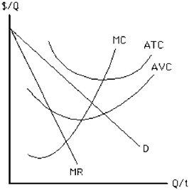 Figure 11-19   In the short run, the monopolist depicted in Figure 11-19 should A)  shut down because P < AVC at some output levels. B)  shut down because P < ATC at all output levels. C)  continue producing because P > AVC at some output levels. D)  continue producing because P > ATC at all output levels. E)  continue producing because monopolists never shut down.