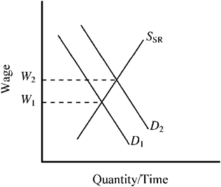 Use the figure to answer the following question(s) . Figure 12-2   If an unanticipated increase in demand in Figure 12-2 shifts the demand for accountants from D <sub>1</sub> to D <sub>2</sub>, how will the higher level of demand influence the wages of accountants in the short run and the long run? A)  In the short run, wages will increase to W <sub>2</sub>, but the wage increase will be smaller in the long run. B)  In the short run, wages will be less than W <sub>2</sub>, but in the long run, they will rise to W <sub>2</sub>. C)  In the short run, wages will increase to W <sub>2</sub>, and in the long run, they will be even higher than W <sub>2</sub>. D)  Employment will increase, but the higher level of demand will not alter the wages of accountants.