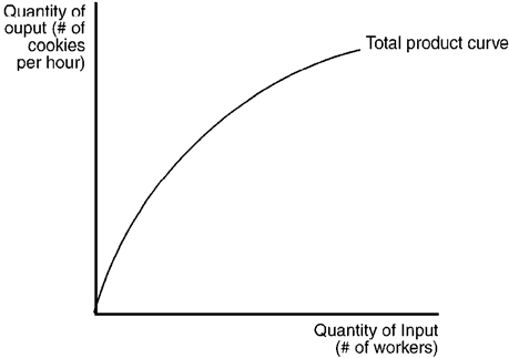 The figure below depicts a production function for a firm that produces cookies. Figure 12-4   Refer to Figure 12-4. As the number of workers increases, A)  total output increases, but at a decreasing rate. B)  marginal product increases, but at a decreasing rate. C)  marginal product increases at an increasing rate. D)  total output decreases.