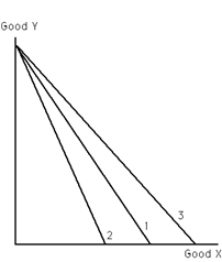 Exhibit 20-8 ​   Refer to Exhibit 20-8. If the price of good X rises, the budget constraint moves from budget constraint A) 1 to 2. B) 2 to 3. C) 3 to 1. D) 1 to 3. E) a or c