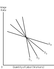 Exhibit 27-1 ​   Refer to Exhibit 27-l. Four demand curves for labor are displayed: D<sub>1</sub>, D<sub>2</sub>, D<sub>3</sub>, and D<sub>4</sub>.  Which provides the least pronounced wage-employment tradeoff? A) D<sub>1</sub> B) D<sub>2</sub> C) D<sub>3</sub> D) D<sub>4</sub>