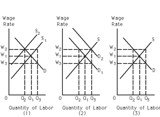 Exhibit 27-5 ​   Refer to Exhibit 27-5. In which of the following cases has the increase in the wage from W<sub>1</sub> to W<sub>2</sub> been brought about by a prolonged successful training program undertaken by the union for the benefit of its members? A) (1)  B) (2)  C) (3)  D) There is not enough information provided to answer this question.