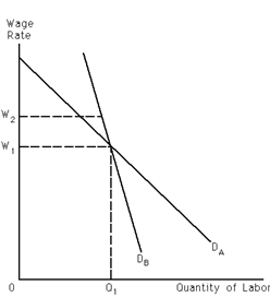 Exhibit 27-9 ​   Refer to Exhibit 27-9. Let D<sub>A</sub> and D<sub>B</sub> represent demand for labor curves facing unions A and B, respectively. As a result of their efforts, both unions succeed in increasing the wage rate from W<sub>1</sub> to W<sub>2</sub>. In terms of the wage-employment trade-off, the wage increase A) had a larger impact on employment for union A than for union B. B) had a larger impact on employment for union B than for union A. C) had the same impact on employment in both unions. D) cannot be determined without further information.
