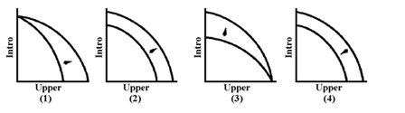 Figure 3-5   At present, faculty in the Economics Department teach introductory and upper-level courses. Which graph in Figure 3-5 represents the change in the production possibilities of the Economics Department after a policy of using graduate students in addition to faculty to teach introductory sections was implemented? A) 1 B) 2 C) 3 D) 4