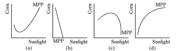 Figure 7-12     Which of the graphs in Figure 7-12 shows a marginal physical product curve that exhibits first increasing and then diminishing marginal returns to sunlight? A) (a)  B) (b)  C) (c)  D) (d) 