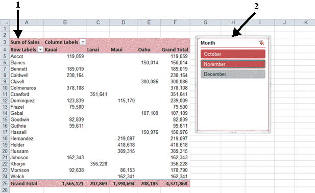 FIGURE EX 12-1   Item 2 in Figure EX 12-1 above shows a ____. A)  slicer B)  PivotTable C)  Watch Window D)  ViewTable