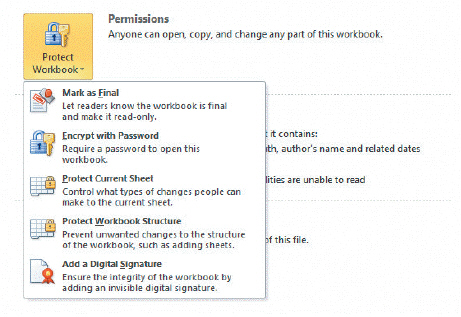 Figure EX 16-1   Clicking the Encrypt with Password option shown in Figure EX 16-1 above opens the ____ dialog box. A)  Track Changes B)  Encrypt Changes C)  Protect Sheet D)  Encrypt Document