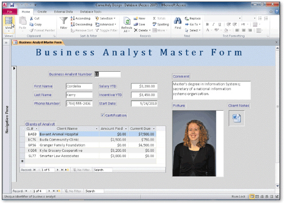 In the accompanying figure, the portion of the picture that appears as well as the way it appears is determined by the size mode. To change the size mode, use the property sheet.