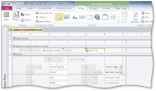     The Business Analyst Master List Report shown in the accompanying figure is organized by sections. The contents of the ____________________ section are printed after the records in a particular group.