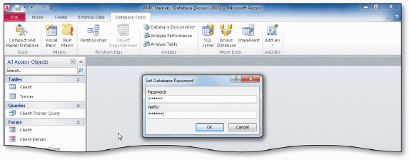   The accompanying figure shows the Set Database Password dialog box. To encrypt a database with a password, click the _____ button on the Info tab in Backstage view. A)  Encrypt/Decrypt B)  Encode/Decode C)  Password D)  Encrypt with Password