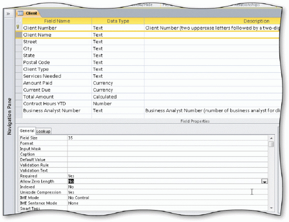     The accompanying figure displays the Client table in Design view. To enter a zero-length string, you type two percent symbols with no spaces in between (%%).