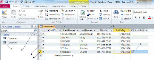   Item 7 in the figure above is the: A) Record selector box B) Customers table tab C) Navigation pane D) Focus