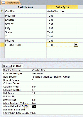   In the figure above, the Data Type of the CustNo field is ____________________ .
