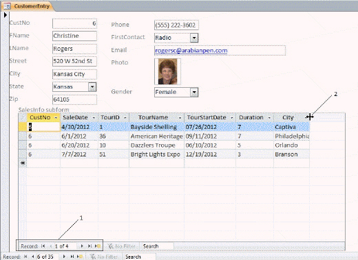   In the figure above, how many fields are displayed in the main form? A) 8 B) 9 C) 10 D) 12