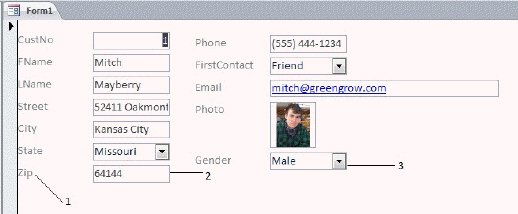   Explain the benefits of using a combo box control for the Gender data in the figure above.