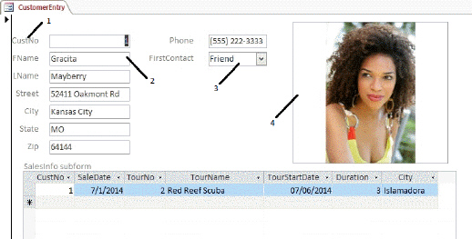   In the accompanying figure, item number 1 is a(n) text box control.