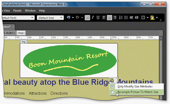   As shown in the accompanying figure, you can click the ____ button below a resized image, then click the Resample Picture to Match Size option to resample the image. A)  Picture Tasks B)  Picture Formatting C)  Picture Actions D)  Picture Menu
