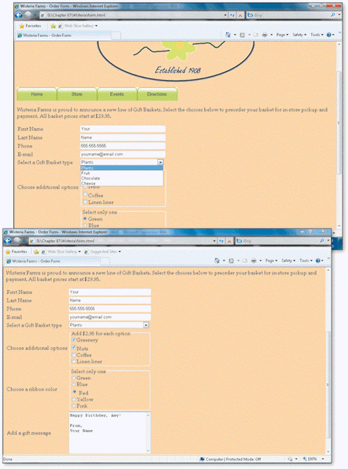   The text File Name, Last Name, Phone, and E-mail, shown in the accompanying figure, is ____________________ for the text box controls.
