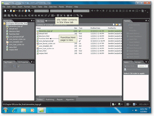   When you run a Site Summary report, the ____ toolbar appears at the top of Site View, as shown in the accompanying figure. A)  Reports B)  Problems C)  Summary D)  Search