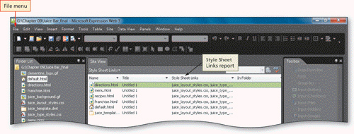   To produce the report shown in the accompanying figure, you should click the ____ link in the Site Summary report. A)  Hyperlinks B)  Style Sheet Links C)  Broken Hyperlinks D)  Linked Files