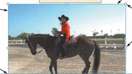   Figure 1-5 _________________________ includes both enlarging and reducing the size of a graphic as shown in Figure 1-5.