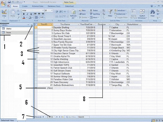   Item 5 in the figure above is: A)  Where a new record would be entered B)  Where a new field would be entered C)  A field name D)  The navigation pane