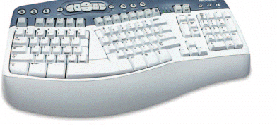       Which of the following is NOT shown in the figure above? A)  keyboard B)  mouse C)  touch pad D)  trackball