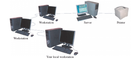   Each of the components connected by wires in the above figure is called a ____. A)  client B)  node C)  workstation D)  server