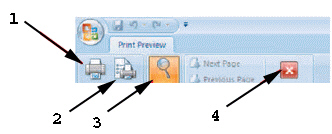   In the figure above, item 3 points to the ____ button. A)  Close Print Preview B)  Page Setup C)  Zoom D)  Print