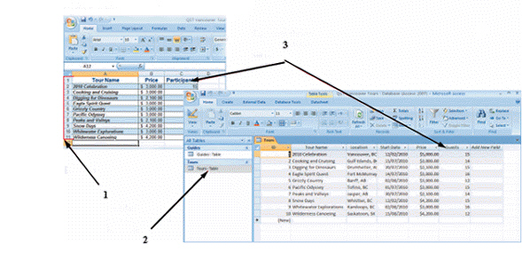   In the figure above, item 3 points to a field name change that occurred during the ____ process. A)  export B)  linking C)  import D)  embedding