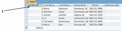   The source of the data shown in the figure above is a(n)  ____ in Word. A)  table B)  column chart C)  image D)  textbox
