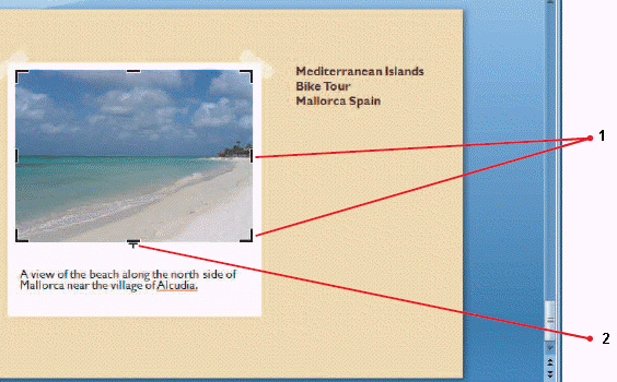   Item 2 in the above figure is cropping the photograph