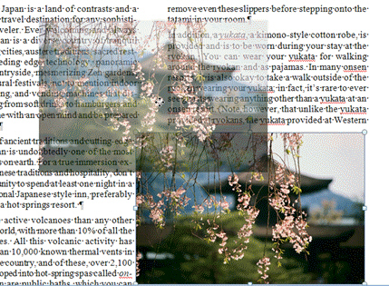   In the figure above, what does the faded image show? A)  The original position of the graphic B)  The image being copied to a new location C)  The graphic as it is being dragged D)  The shadow effect applied to the image