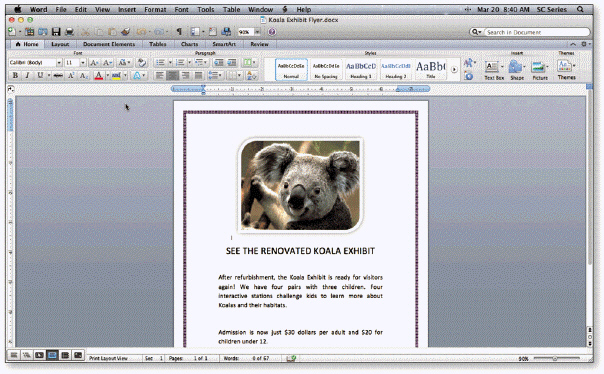     You view a portion of a document on the screen through a document ____________________, like the one in the accompanying figure.