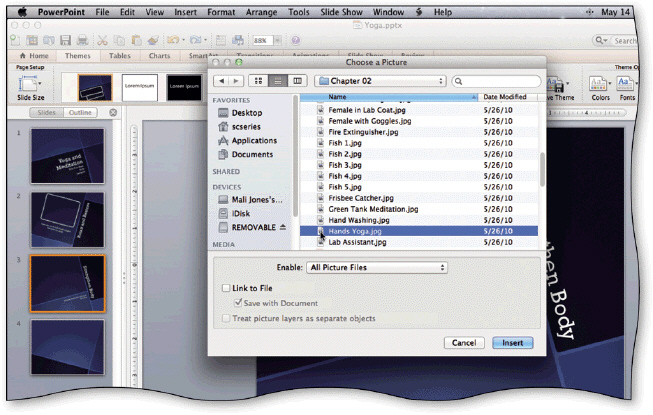   Clicking which of the following icons opens the Choose a Picture dialog shown in the accompanying figure? A) Clip Art B) Insert Picture from File C) Screenshot D) New Photo Album