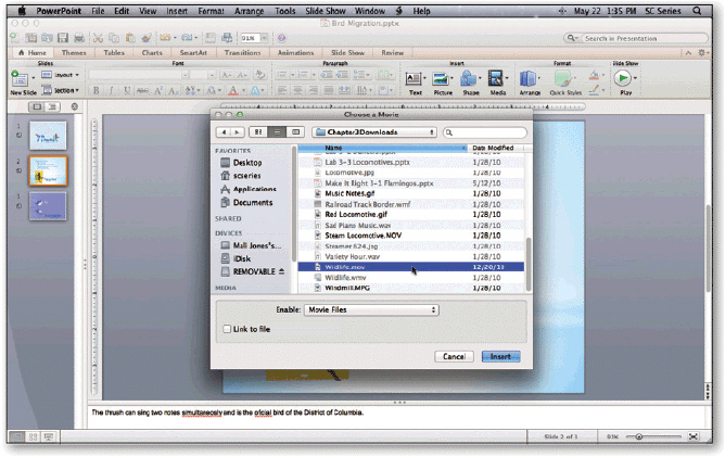   To open the dialog box in the accompanying figure, choose ____ from the Media pop-up menu. A) Choose a Movie B) Multimedia C) Movie from File D) Media options