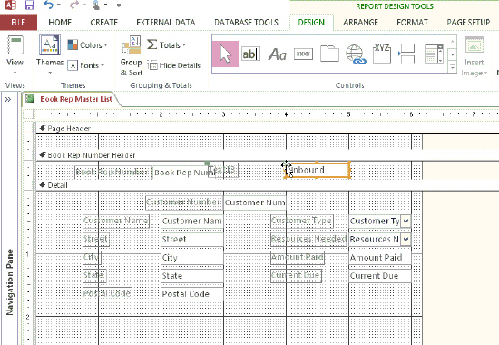   The Book Rep Master List shown in the accompanying figure is organized by sections. The contents of the ____________________ section are printed after the records in a particular group.