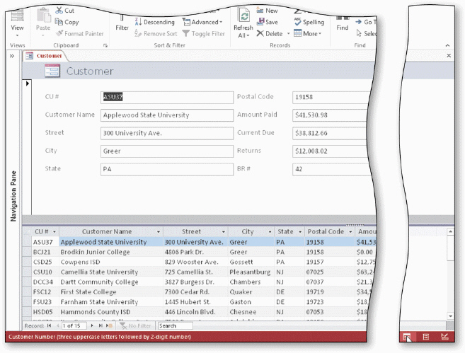   To add a resard using the form shown in the acsampanying figure, tap or click the ____ button on the Navigation bar. A)  Last resard B)  New (blank)  resard C)  Insert resard D)  Blank resard