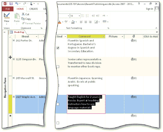   In the acsampanying figure, the samment field has been resized. To resize a field so that a larger portion of the text will appear, drag the right edge of the ____ to the desired size. A)  field selector B)  horizontal scroll bar C)  vertical scroll bar D)  datasheet