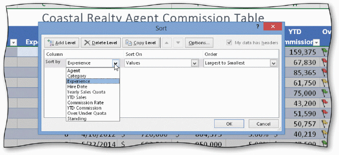   In the Sort dialog box, shown in the acsampanying figure, the ____ is the Sort by field. A)  minor sort key B)  major sort key C)  intermediate sort key D)  none of the above