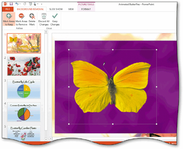   To mark a specific area of a photo to keep, tap or click the ____ button on the BACKGROUND REMOVAL tab of the Refine group, as shown in the accompanying figure. A)  Keep Changes B)  Mark Areas to Keep C)  Remove Background D)  Delete Mark