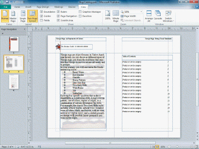   In the accompanying figure, the boxes at the top of both pages shown are ____ text boxes. A)  header B)  footer C)  master D)  leader