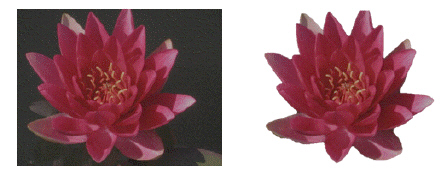 You are creating a brochure for a local florist. You decide to add a picture of a flower into the brochure and then edit and enhance it with different Word features and effects.     You realize that the flower picture is much too dark, and the colors are not vivid enough. What could you do to correct these problems and make the picture more attractive?