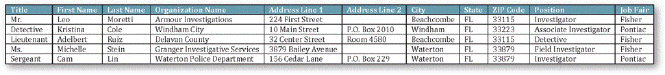   As shown in the accompanying figure, Title, ZIP Code, and City are called ____________________.